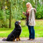 dog obedience training colorado springs