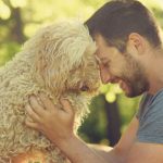 dog trainer free consultation