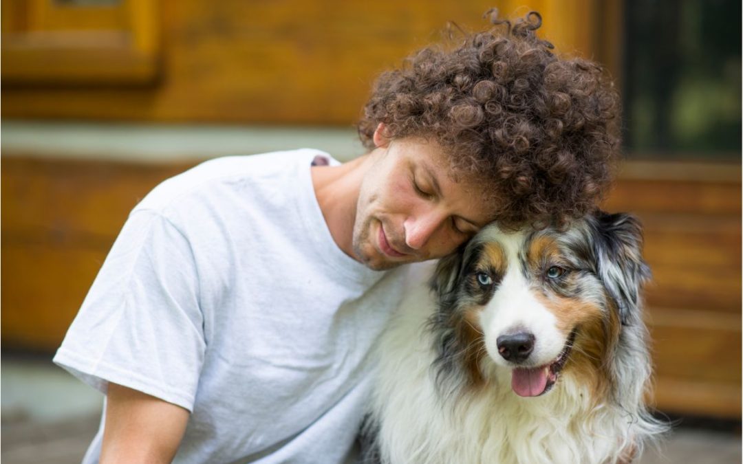 Building a Strong Relationship with Your Dog: Tips from a Colorado Springs Dog Trainer