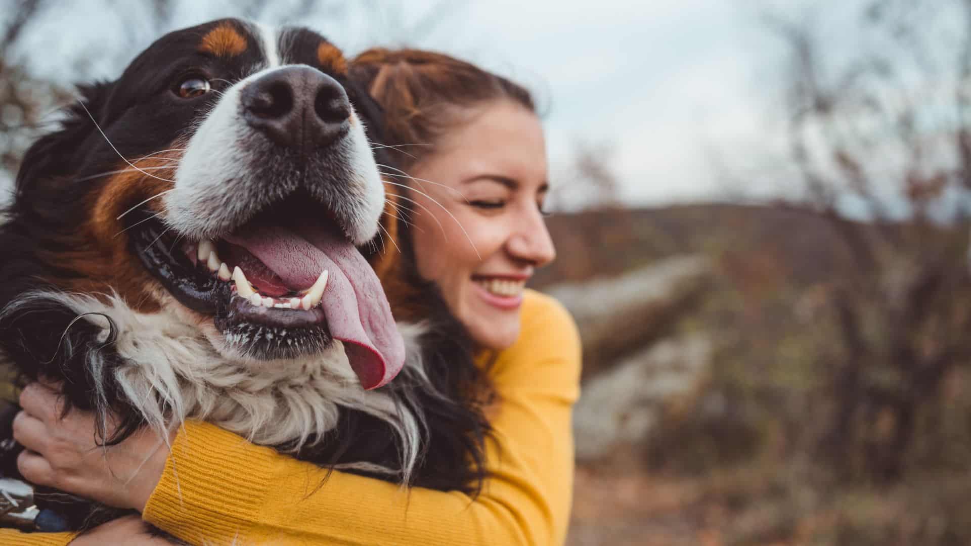 Dog Training Laurie's Way- best method of dog training in Colorado Springs?