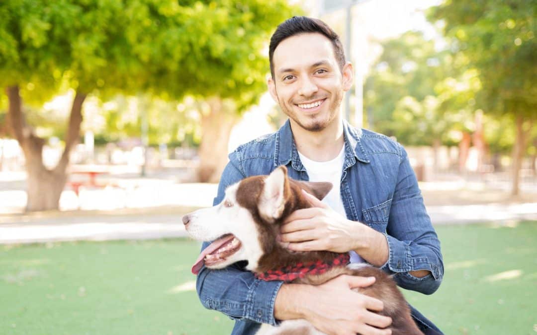 The Secret to Low-Cost Dog Training in Colorado Springs