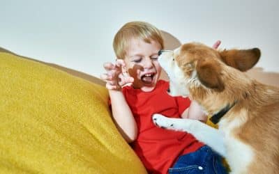 Aggressive Dog Training in Colorado Springs: Building a Positive Relationship with Your Dog
