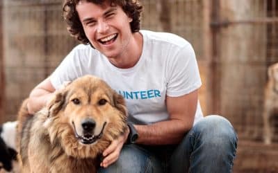 Shelter Dog Training: Transforming Lives, One Tail Wag at a Time