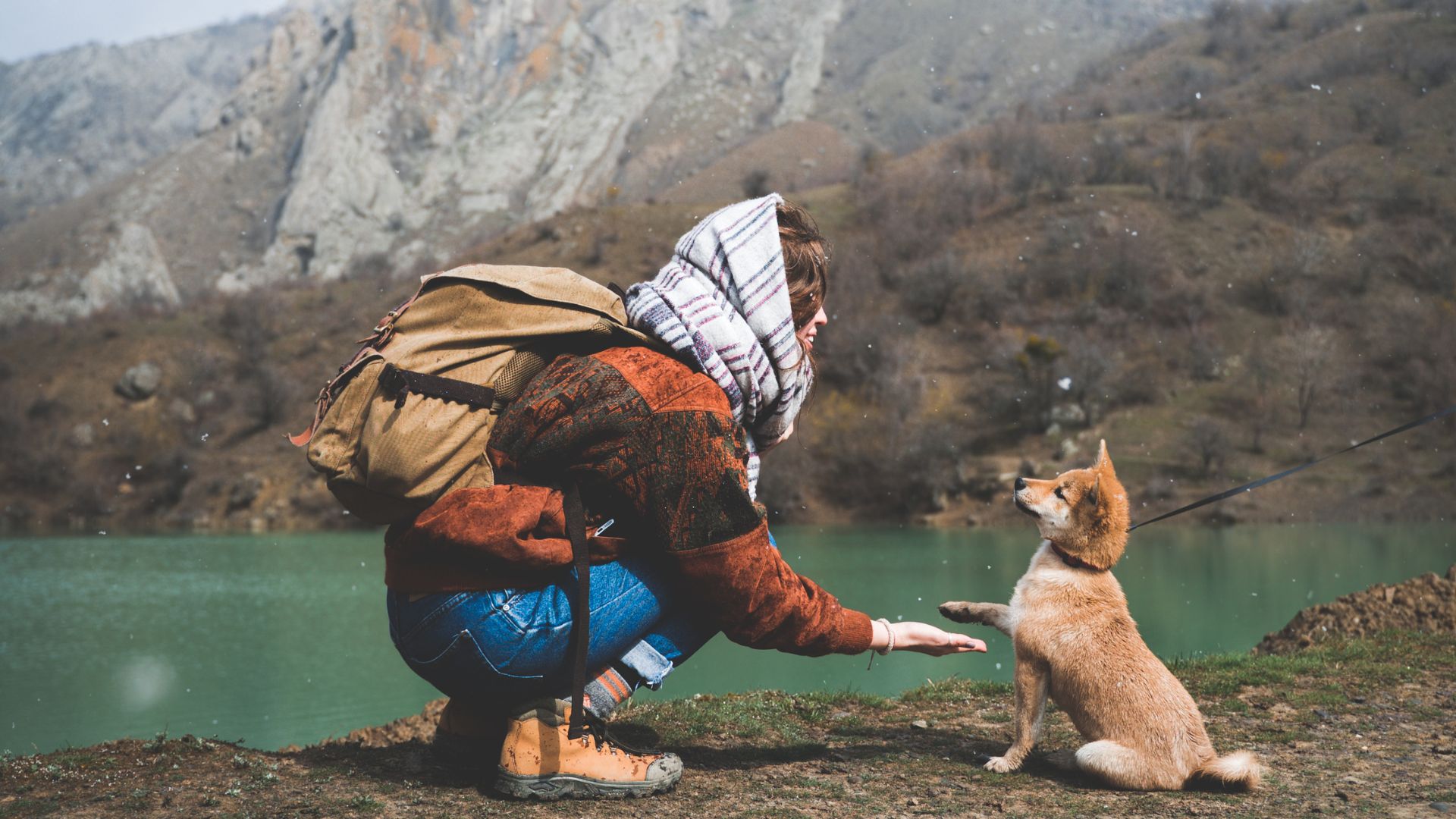 leash training for hikes