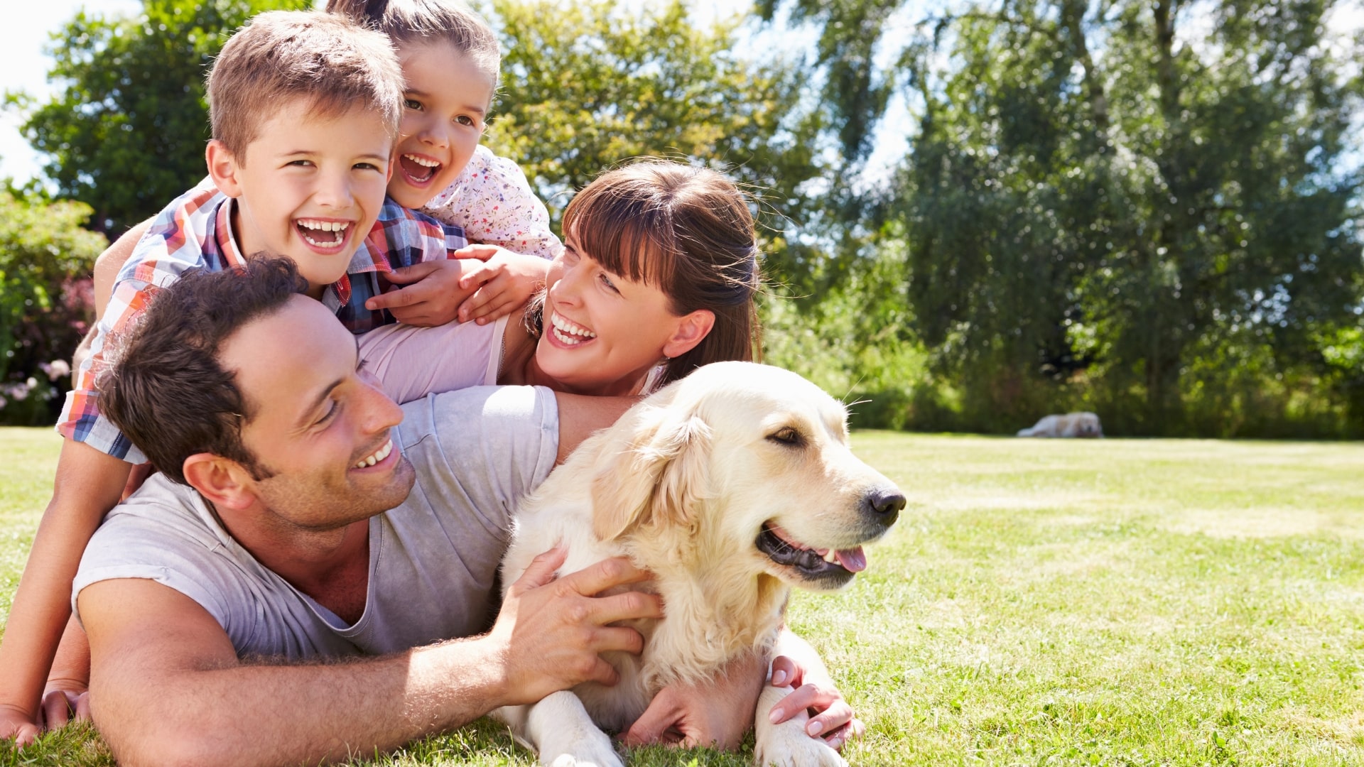 dog behavior can change with new people
